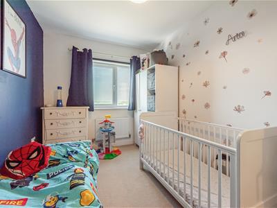 Picture 12